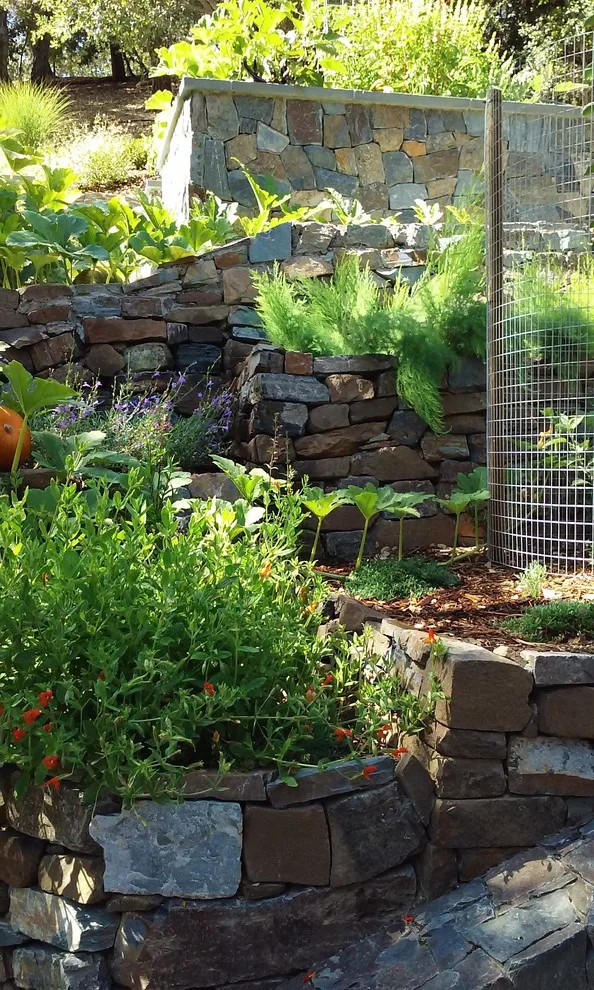 Ross Elevated Vegetable Garden by Gardens & Gables - Photo 16