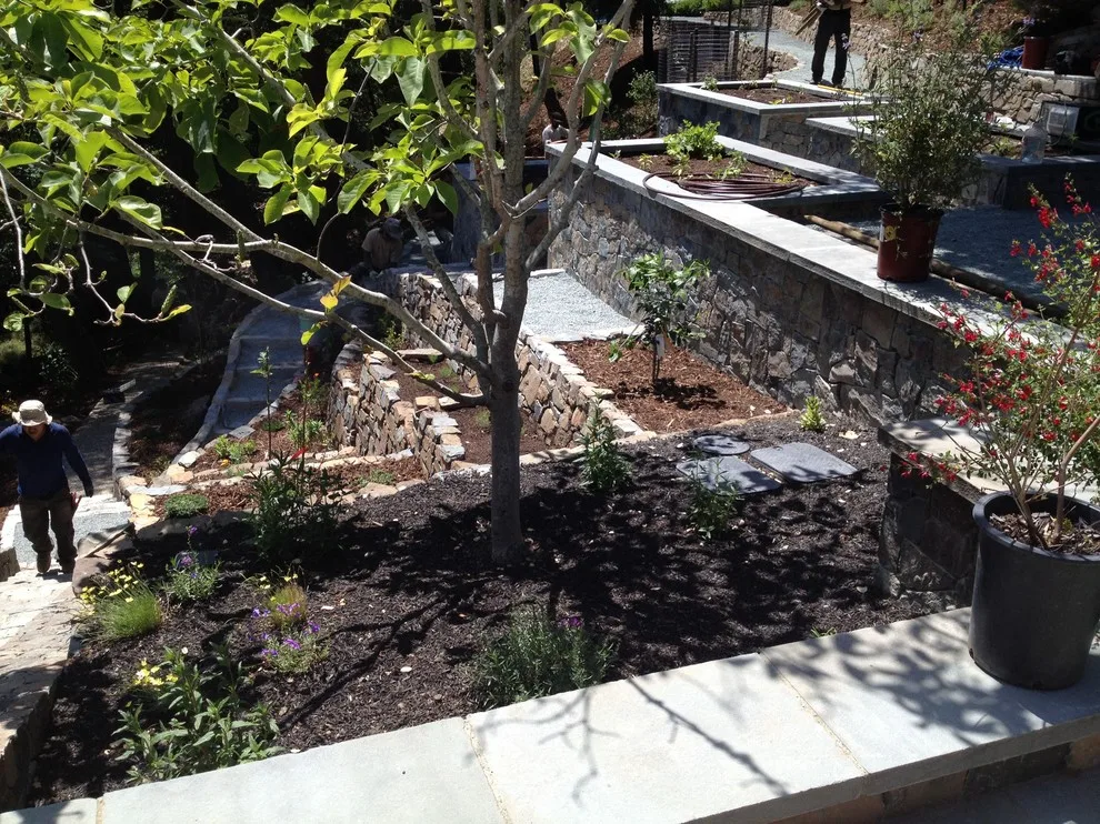 Ross Elevated Vegetable Garden by Gardens & Gables - Photo 30