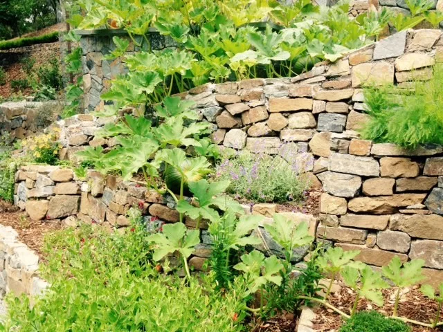 Ross Elevated Vegetable Garden by Gardens & Gables - Photo 21