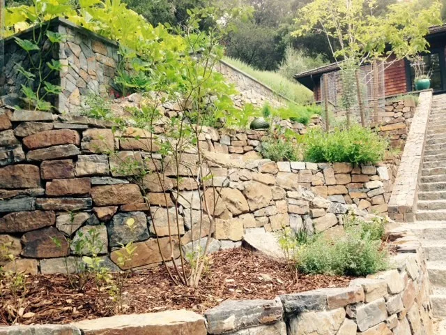 Ross Elevated Vegetable Garden by Gardens & Gables - Photo 24