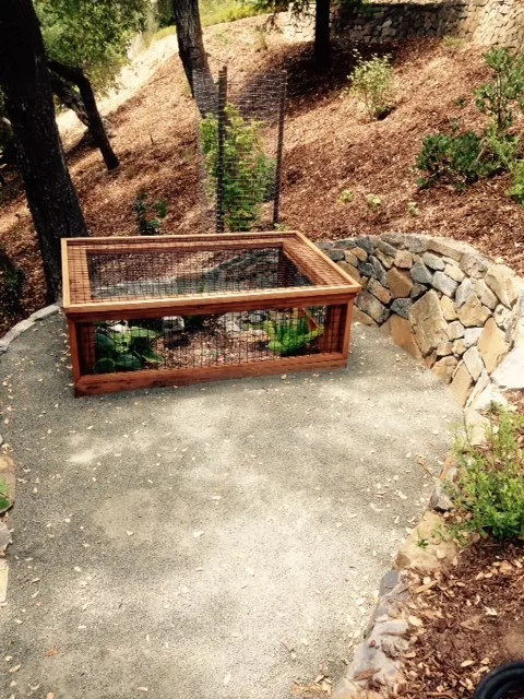 Ross Elevated Vegetable Garden by Gardens & Gables - Photo 13
