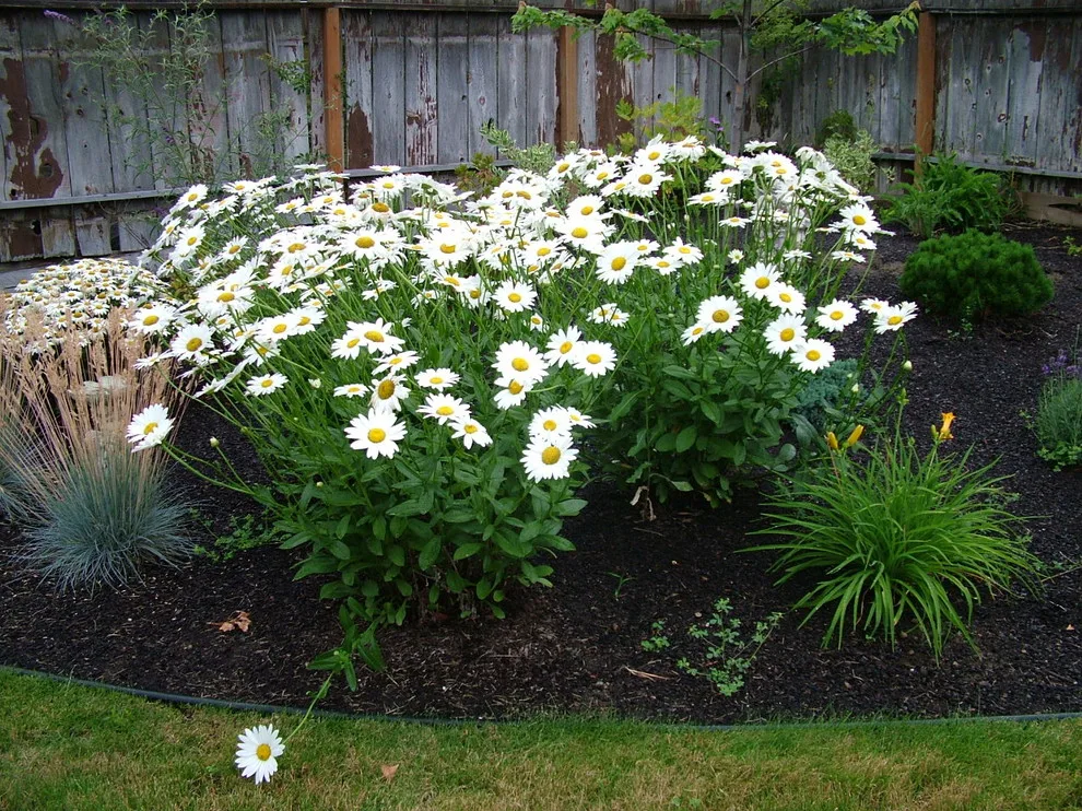 Planting by Season by Environment West - Photo 20