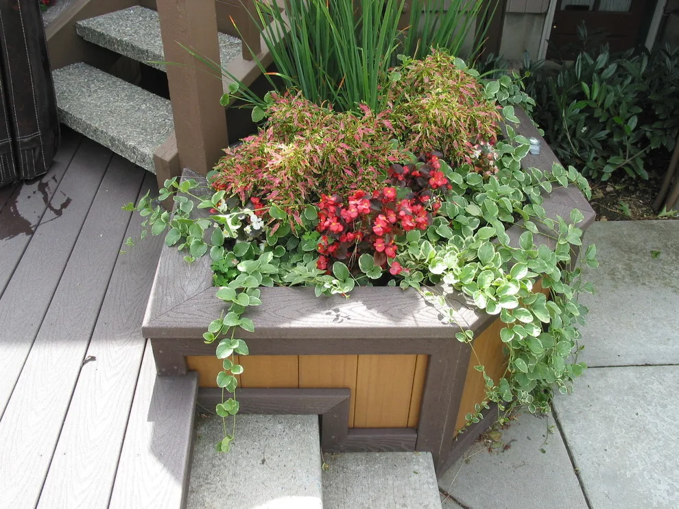 Planting by Season by Environment West - Photo 21