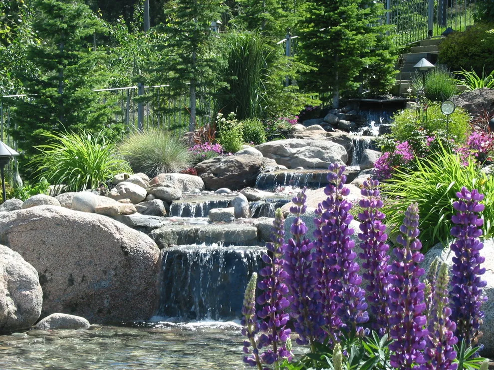 Planting by Season by Environment West - Photo 15
