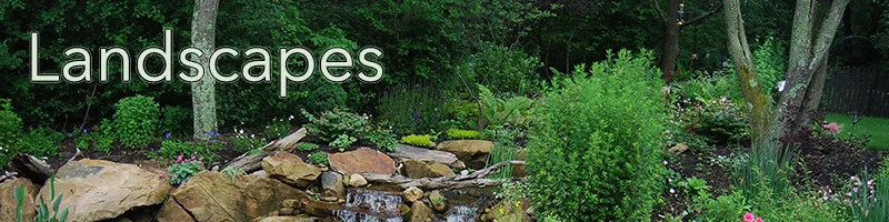 Outdoor Living Spaces and Water Features by Soergel Landscapes, Aquascapes, Florascapes - Photo 12