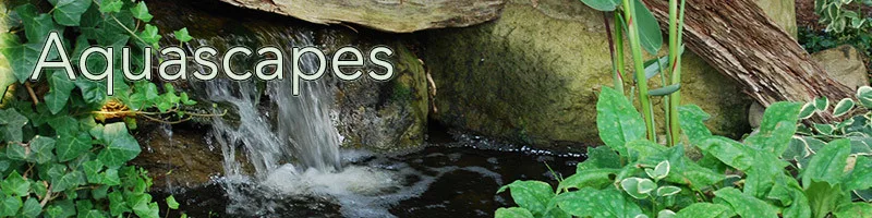 Outdoor Living Spaces and Water Features by Soergel Landscapes, Aquascapes, Florascapes - Photo 19
