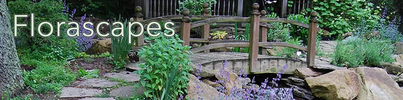 Outdoor Living Spaces and Water Features by Soergel Landscapes, Aquascapes, Florascapes - Photo 14