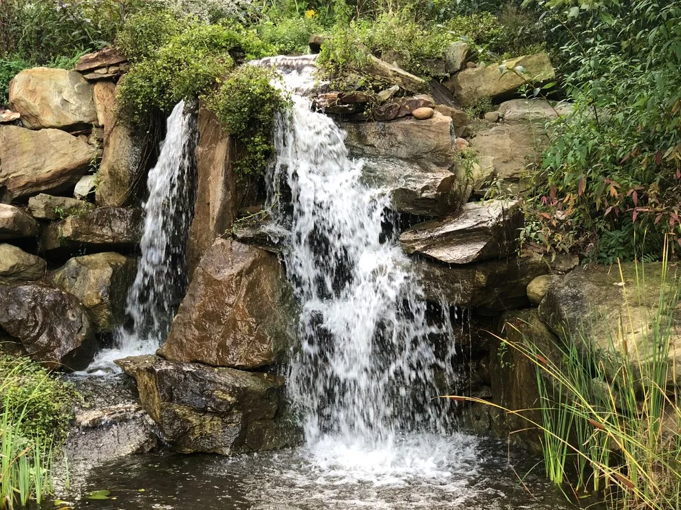 Outdoor Living Spaces and Water Features by Soergel Landscapes, Aquascapes, Florascapes - Photo 7