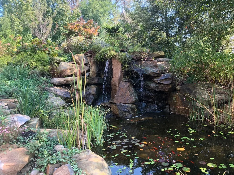 Outdoor Living Spaces and Water Features by Soergel Landscapes, Aquascapes, Florascapes - Photo 10