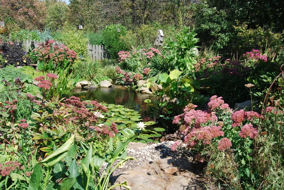 Soergel Landscapes, Aquascapes, Florascapes - Photo 4