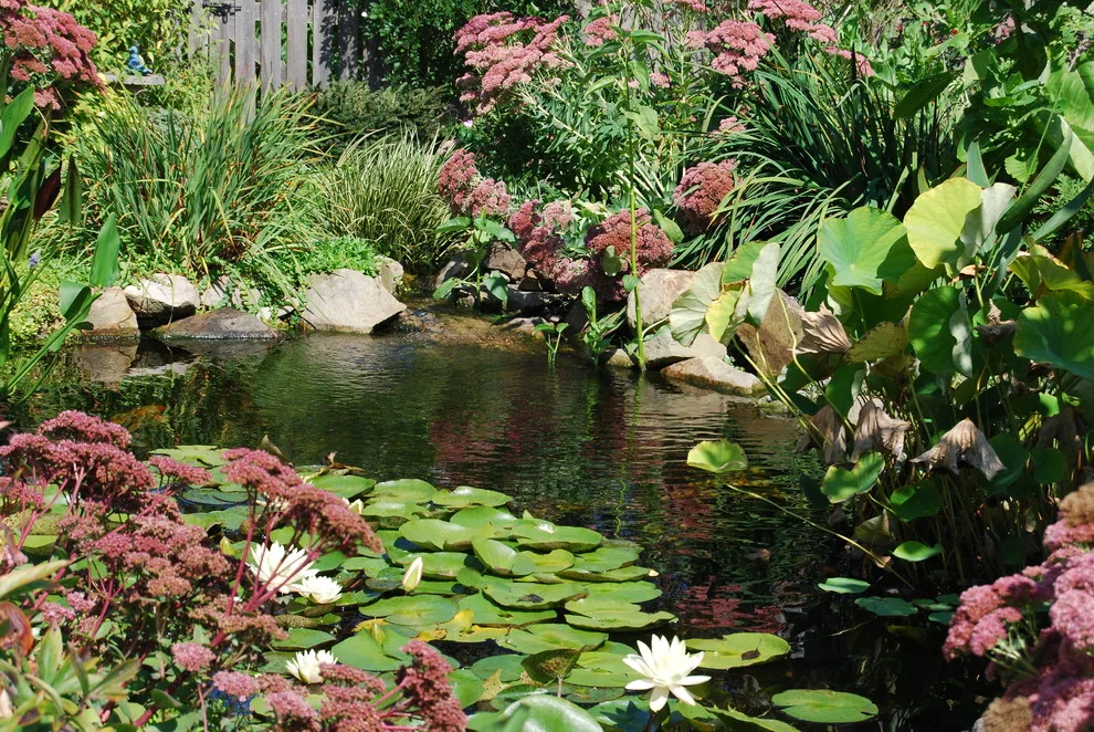 Soergel Gardens by Soergel Landscapes, Aquascapes, Florascapes - Photo 7