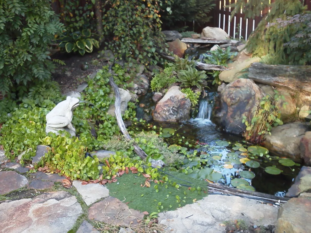 Soergel Gardens by Soergel Landscapes, Aquascapes, Florascapes - Photo 5