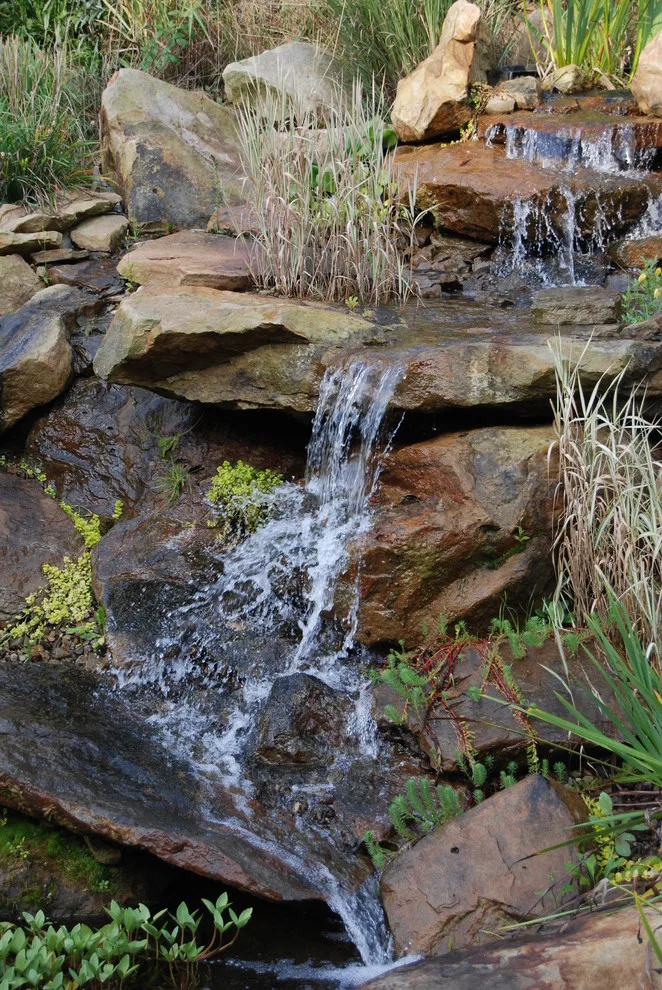 Soergel Gardens by Soergel Landscapes, Aquascapes, Florascapes - Photo 2