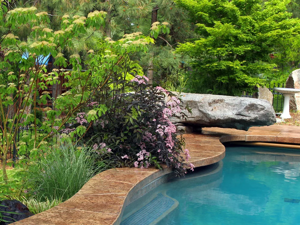 South Hill Aquatic Retreat by Land Expressions LLC - Photo 3