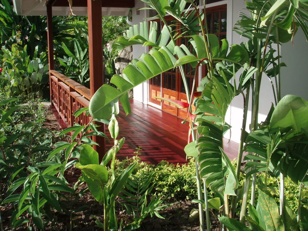 Caribbean Botanical Designs - Photo 13