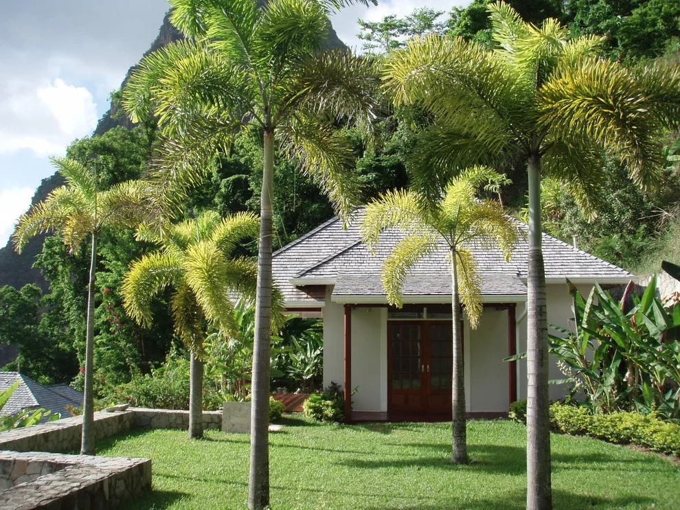 Saint Lucia Home II by Caribbean Botanical Designs - Photo 7