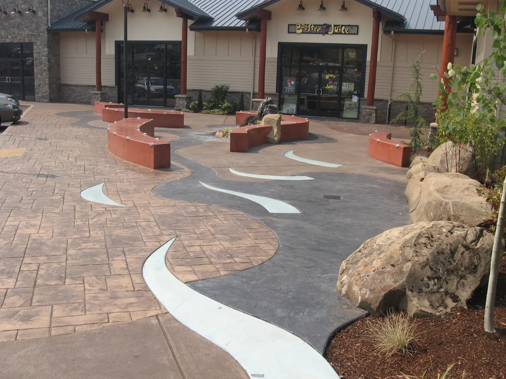 Steelhead Migration by Schlesinger + Associates LLC - Photo 3