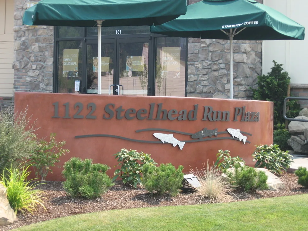 Steelhead Migration by Schlesinger + Associates LLC - Photo 4