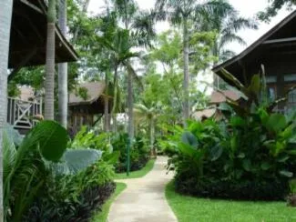 Caribbean Botanical Designs - Photo 3
