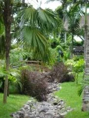 Twilight at the Palms Resort, Negril by Caribbean Botanical Designs - Photo 4