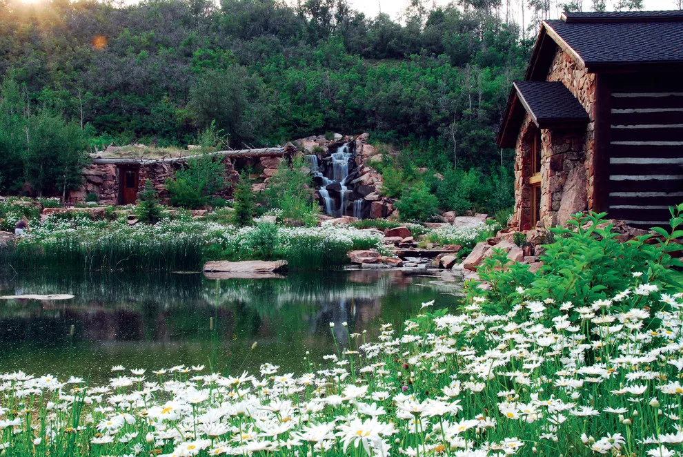 Land Expressions LLC - Photo 11