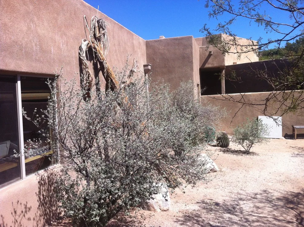 Oasis in the Tucson Desert by Denomy Designs - Photo 15
