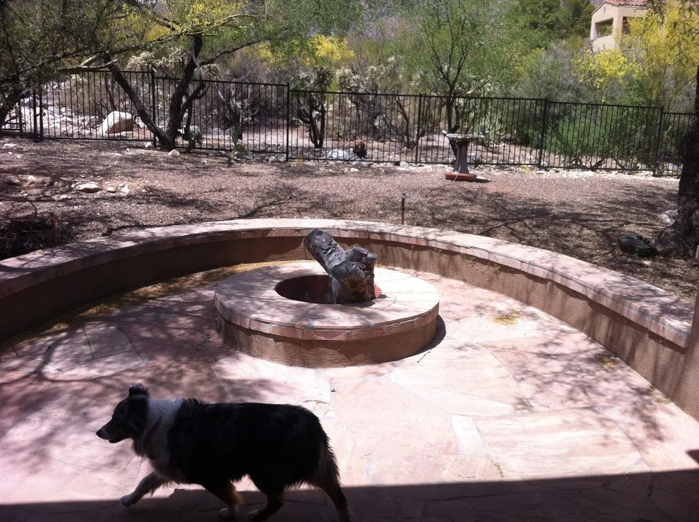 Oasis in the Tucson Desert by Denomy Designs - Photo 6