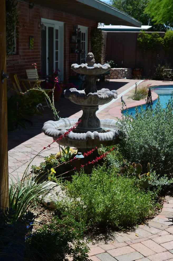 TUCSON RAY by Landscape Design West, LLC - Photo 5