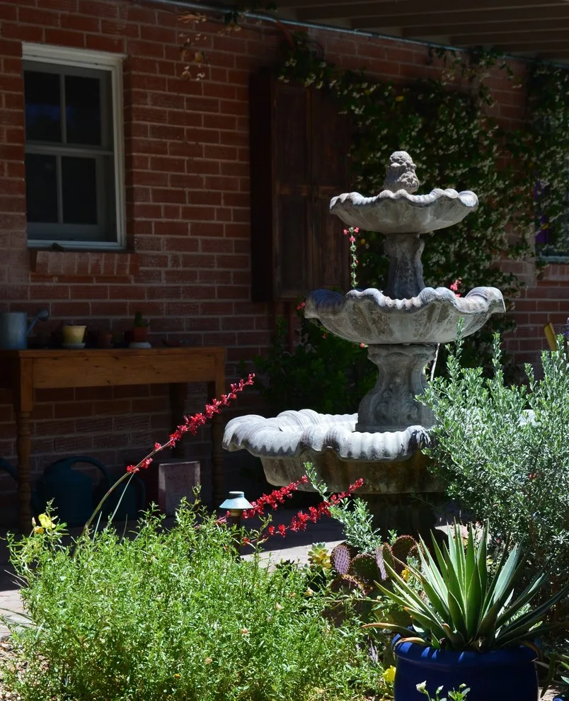 TUCSON RAY by Landscape Design West, LLC - Photo 4