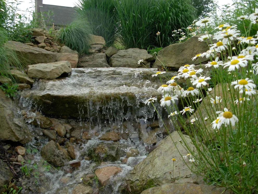 Common Housing Projects by Richard P. Rauso, ASLA, Landscape Architects - Photo 8