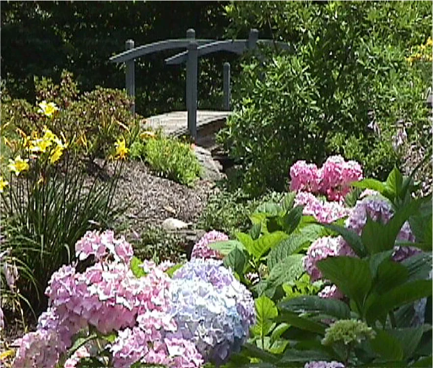 Common Housing Projects by Richard P. Rauso, ASLA, Landscape Architects - Photo 50