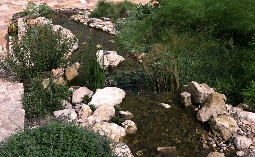 aquatic elements by Green Republic Design Group - Photo 4
