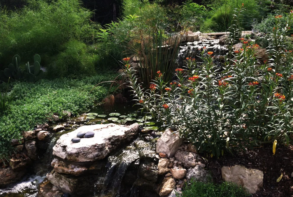 aquatic elements by Green Republic Design Group - Photo 5