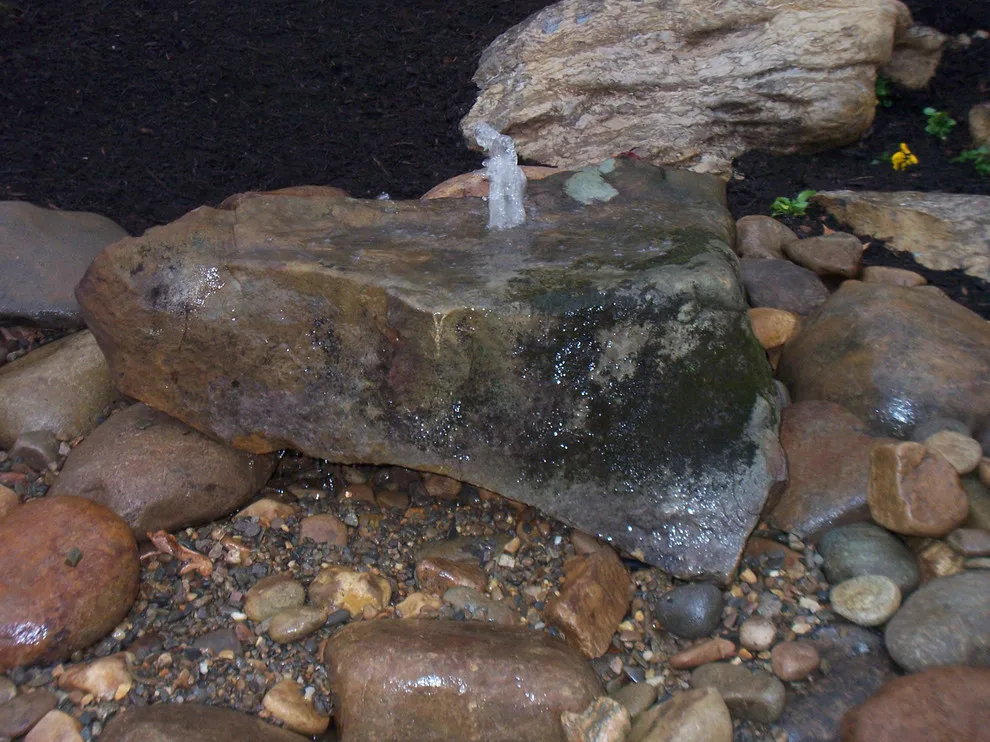 Aquatic Elements by Wildwood Land Design - Photo 3