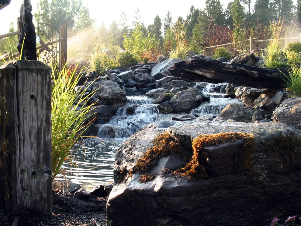 Aquatic Elements by Environment West - Photo 7