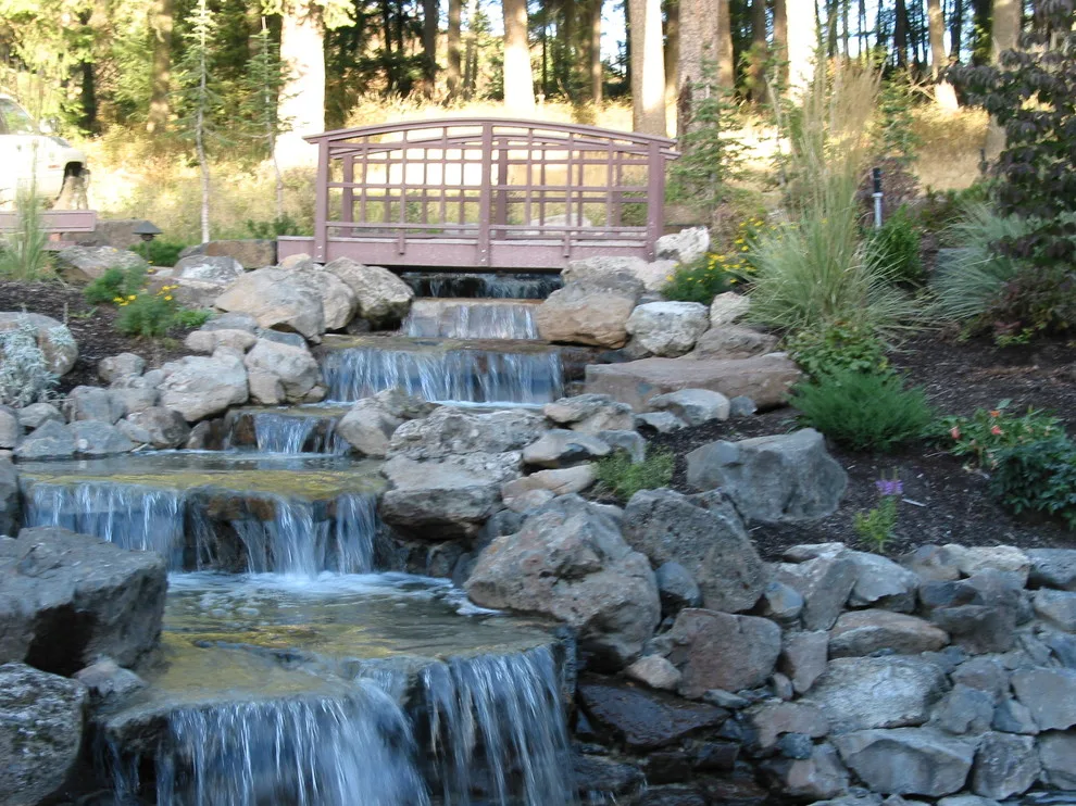 Environment West - Photo 10