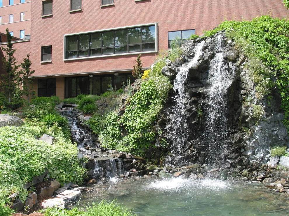 Aquatic Elements by Environment West - Photo 8