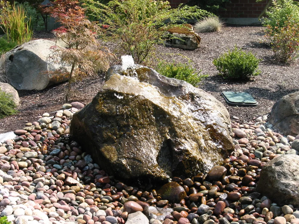 Aquatic Elements by Environment West - Photo 4