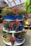 Wayside Garden Center - Photo 3