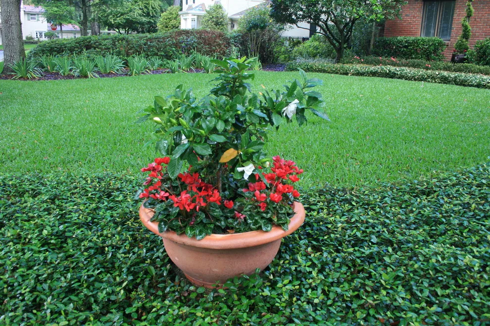 Bridal Oasis by Stephanie Appel, Proffessional Landscape Architect - Photo 6