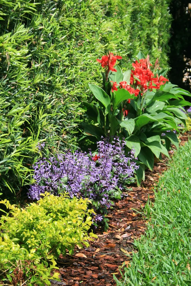 Bridal Oasis by Stephanie Appel, Proffessional Landscape Architect - Photo 5