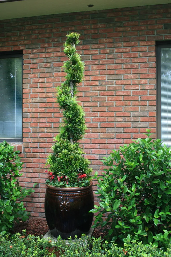 Bridal Oasis by Stephanie Appel, Proffessional Landscape Architect - Photo 3