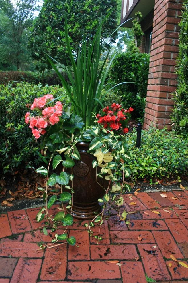 Bridal Oasis by Stephanie Appel, Proffessional Landscape Architect - Photo 2