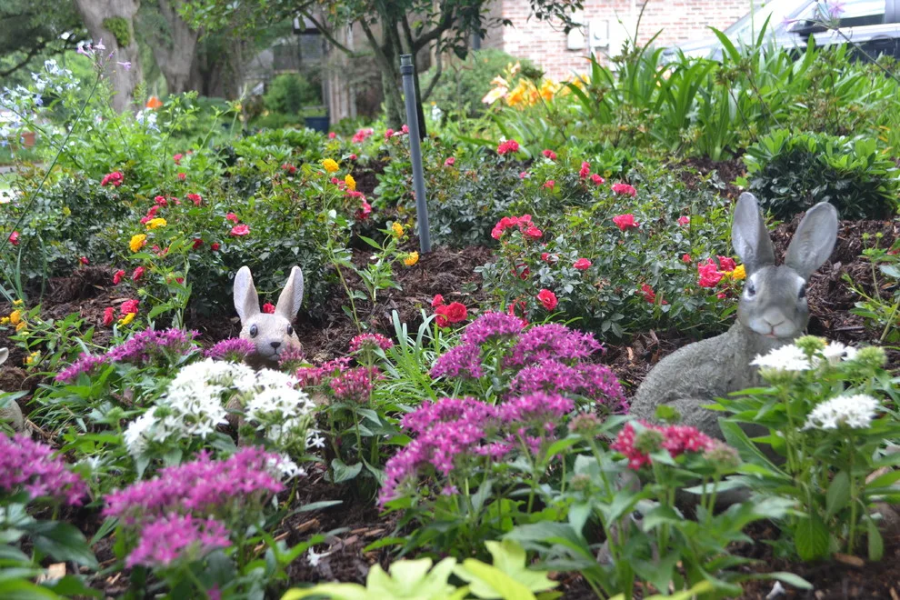 A Magical Garden by Megan Montgomery Design - Photo 7