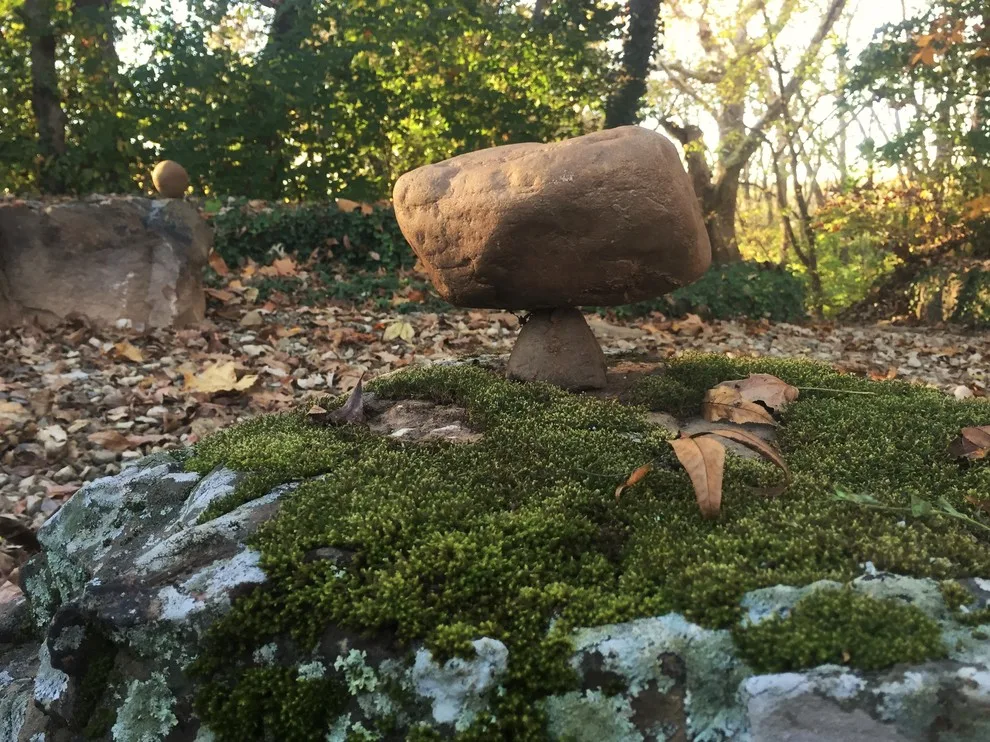 Cornerstone Landscape Studio - Photo 3