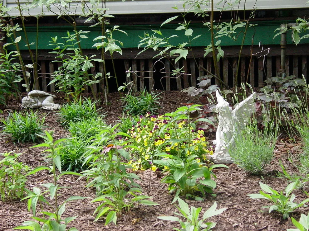 RAL Design & Horticulture - Photo 13