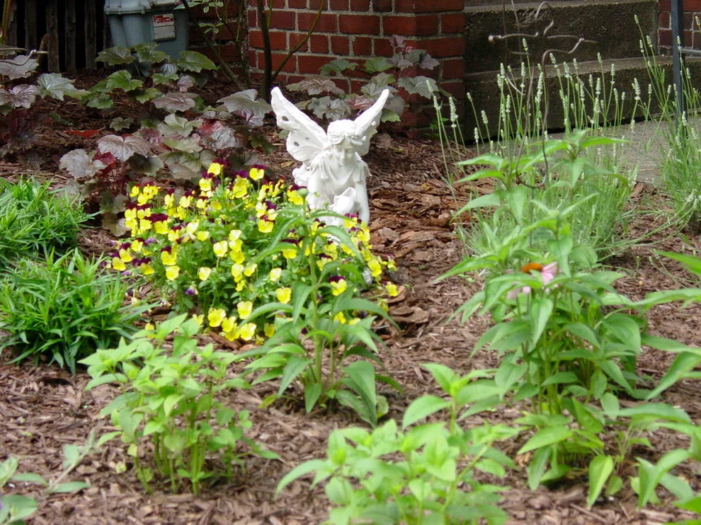 RAL Design & Horticulture - Photo 8