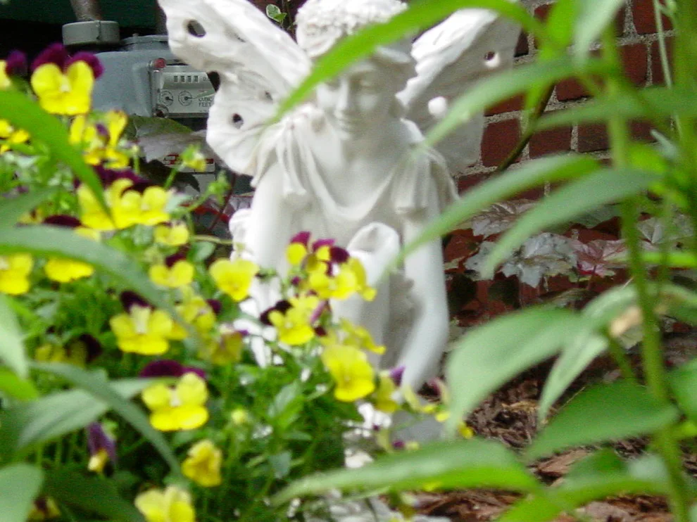 A garden of native plants by RAL Design & Horticulture - Photo 3