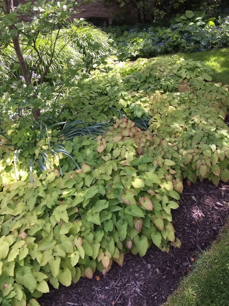 A Secret Garden by RAL Design & Horticulture - Photo 2