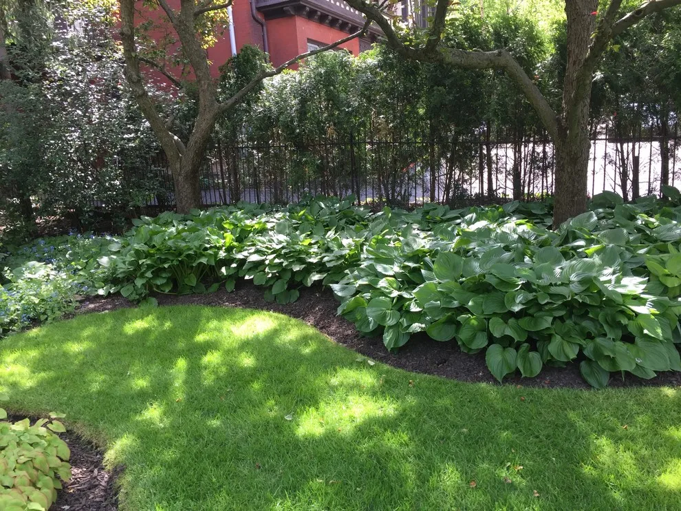 RAL Design & Horticulture - Photo 9